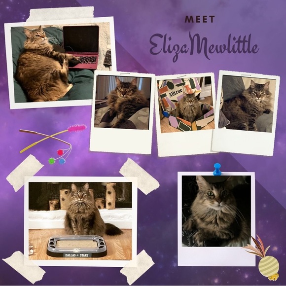 Allergen Alert - Picture 1 of 1